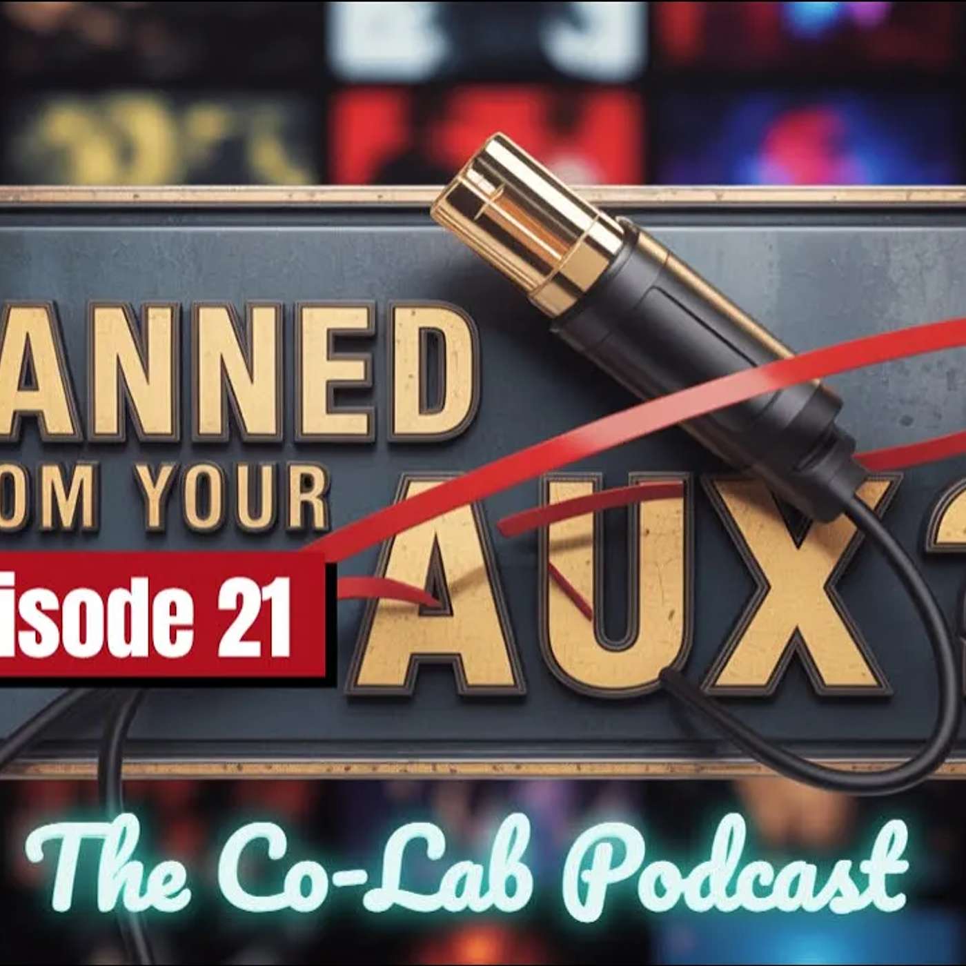 What Artists Are BANNED from Your Aux Cord?!