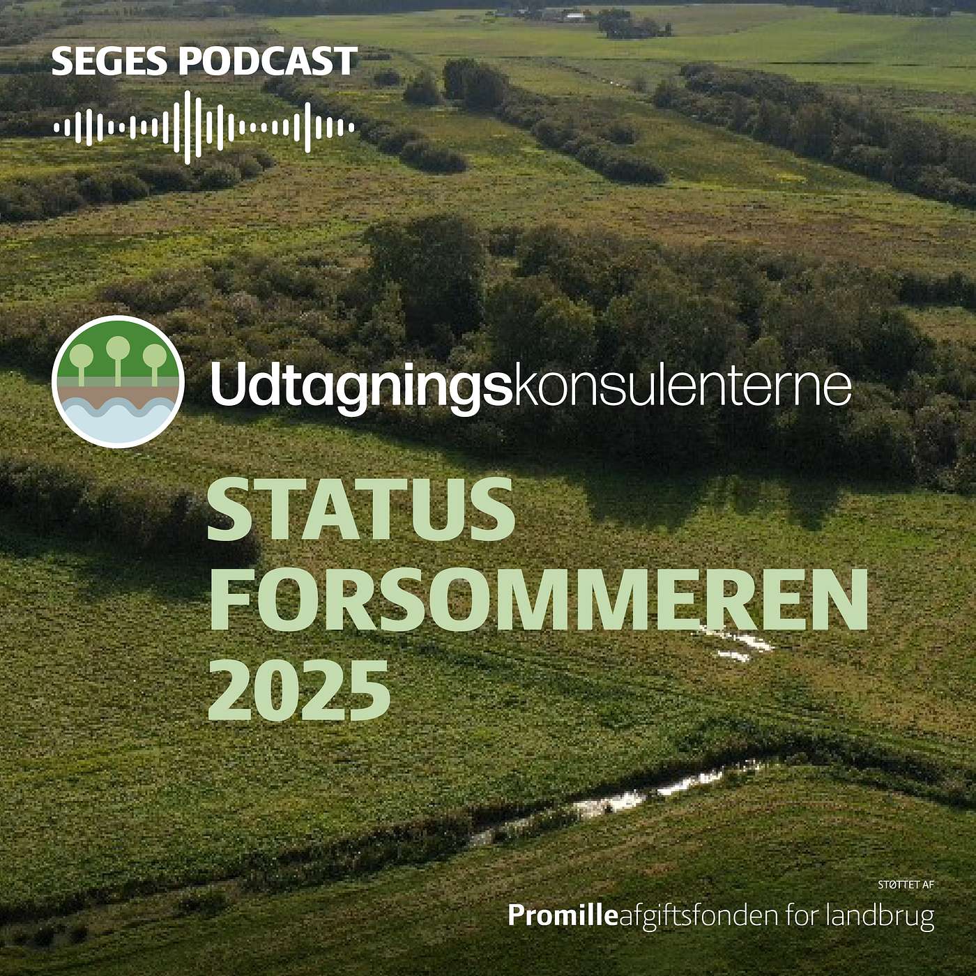 Udtagningskonsulenterne: status i forsommeren 25 Udtagningskonsulenterne: status i forsommeren 25