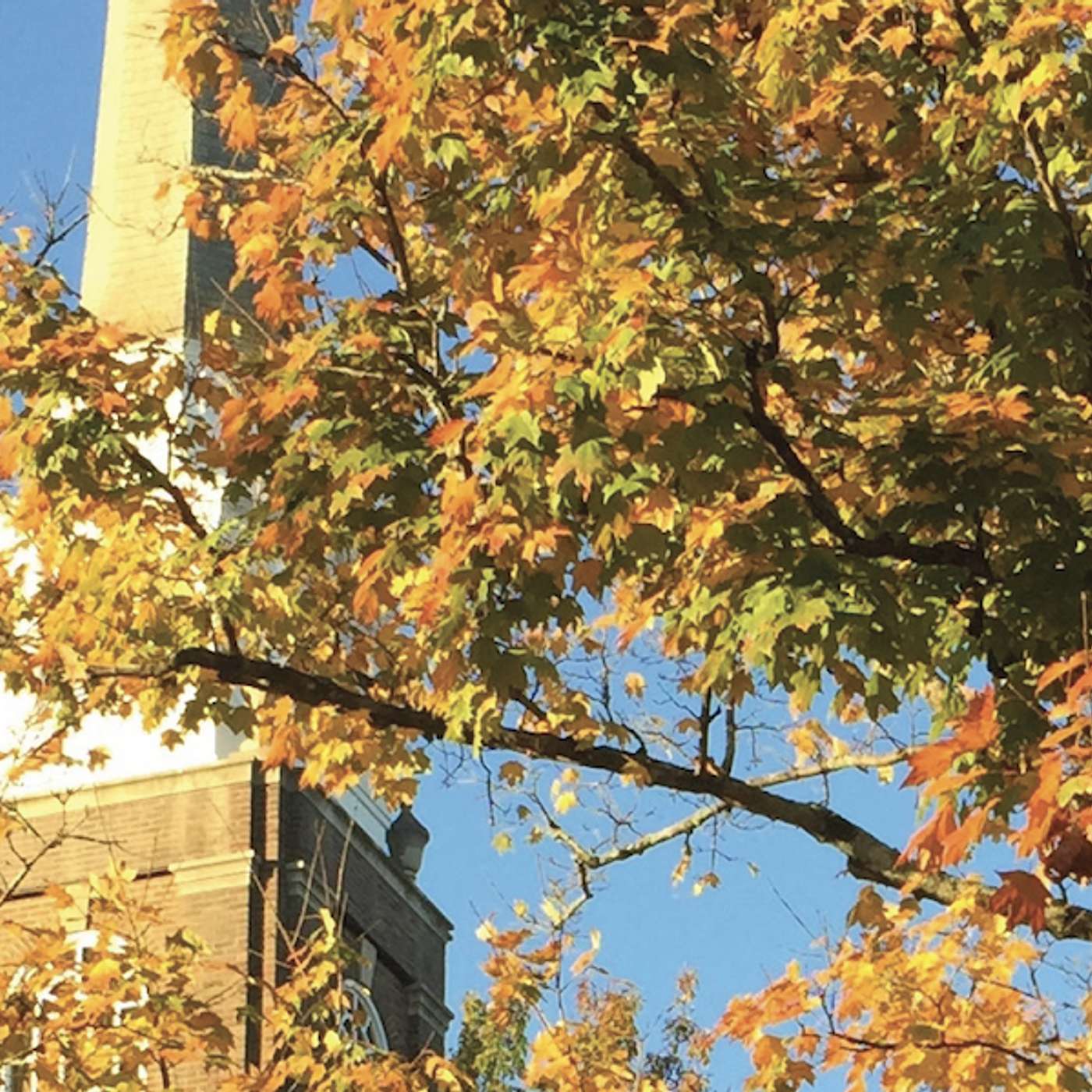 "Judge, NOT!" | Rev. Dr. Guy D. Griffith preaching | 10.19.25