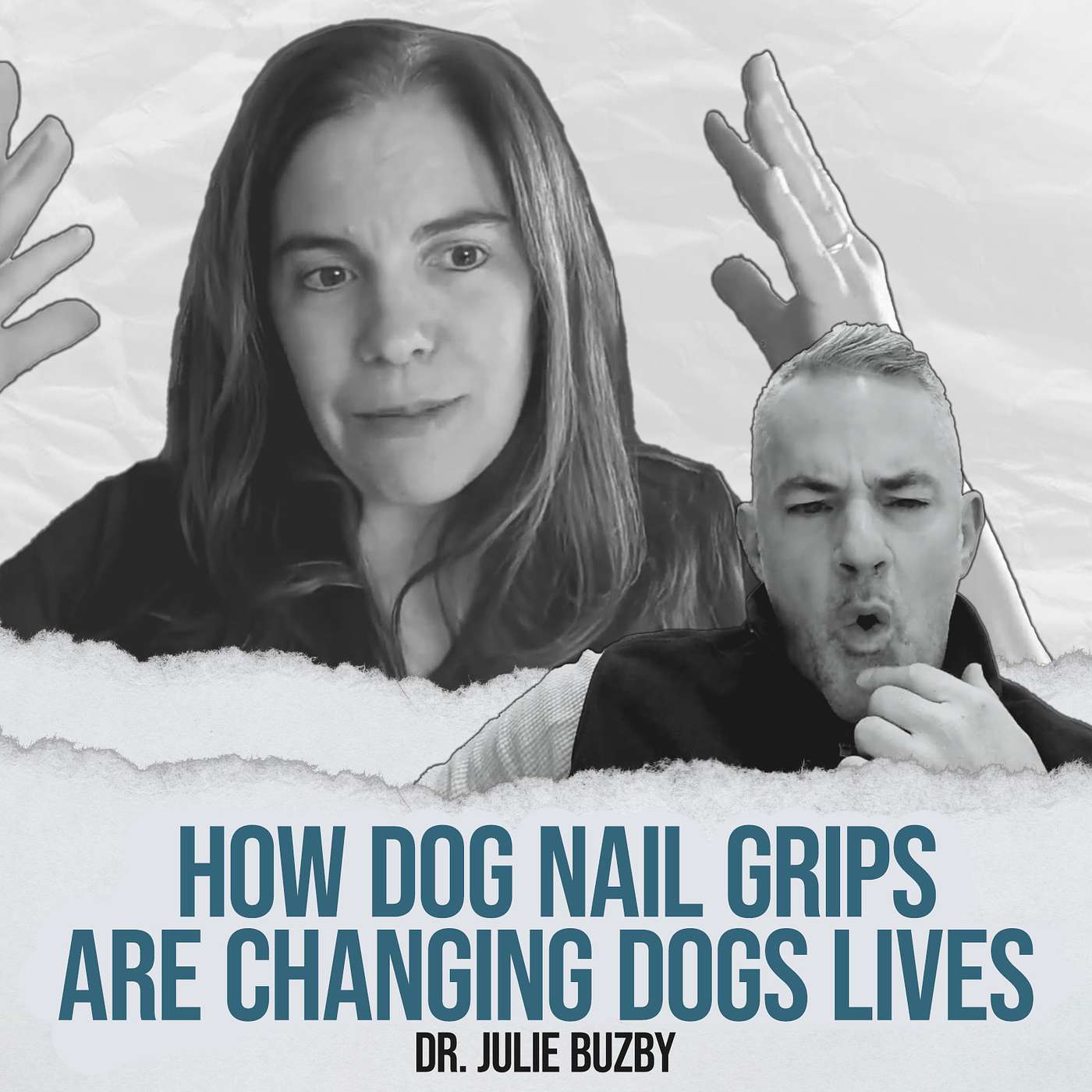 How Dog Nail Grips Are Changing Dogs Lives - with Dr. Julie Buzby