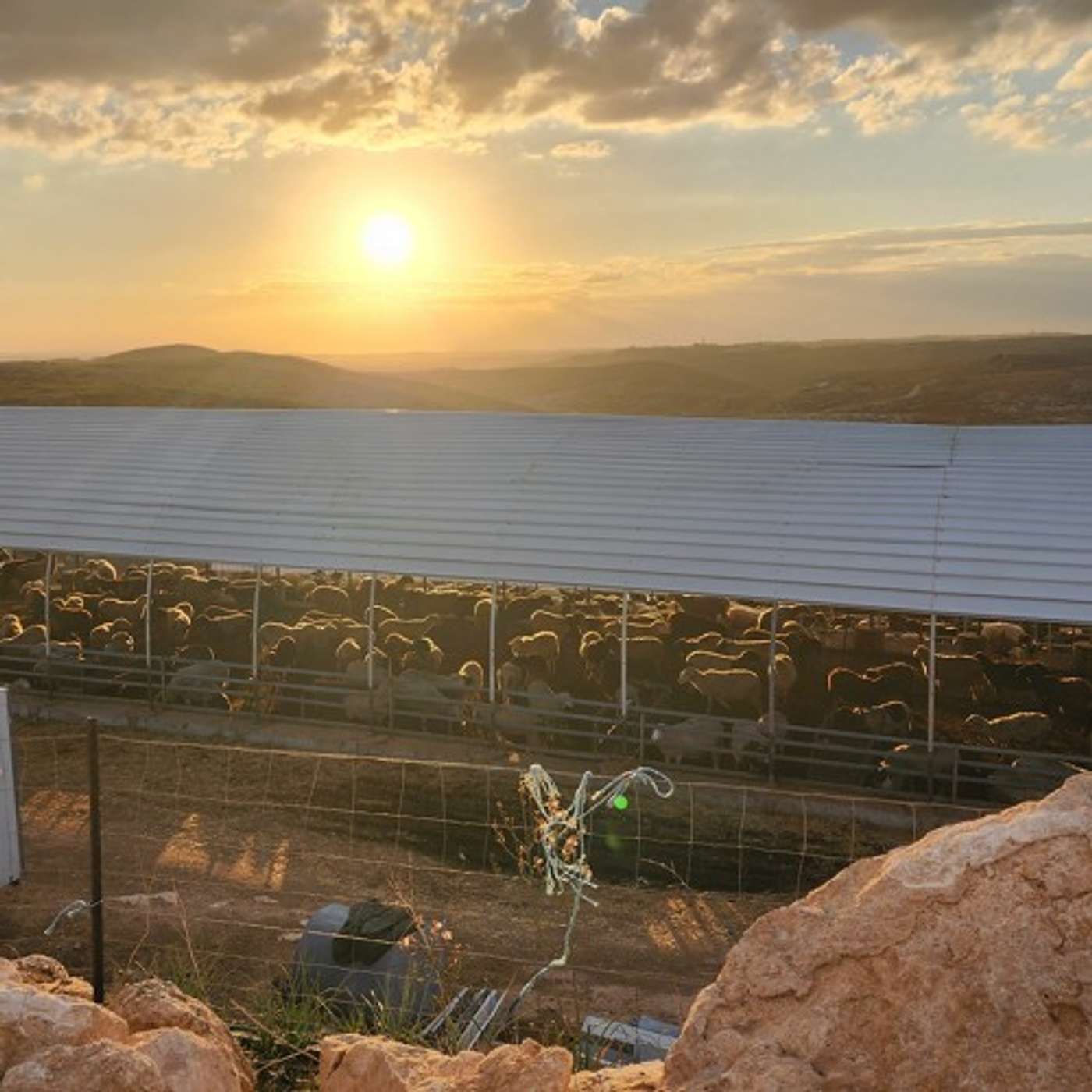 The Yishai Fleisher Israel Podcast