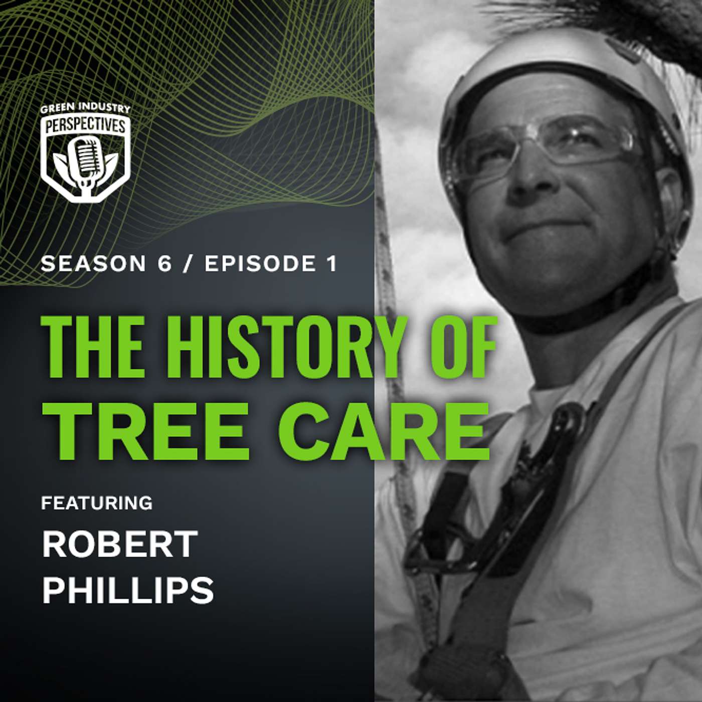 Green Industry Perspectives