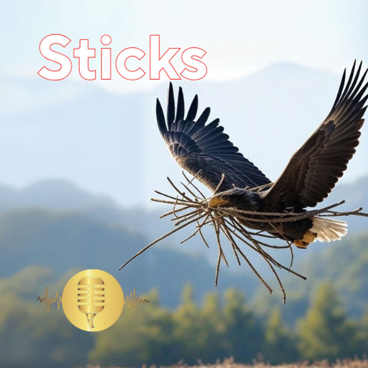 Sticks