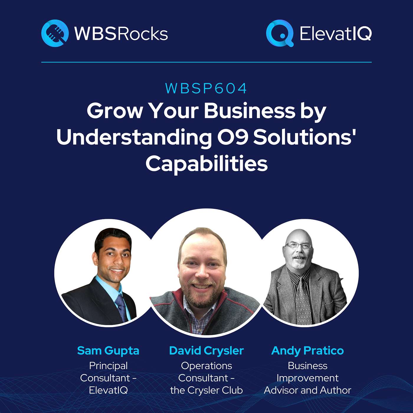 WBSP604: Grow Your Business by Understanding O9 Solutions' Capabilities, an Objective Panel Discussion