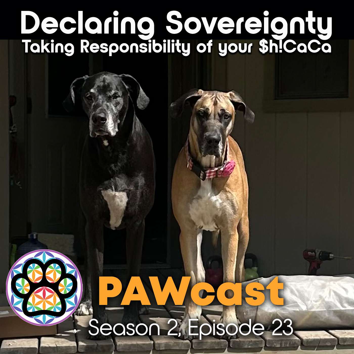 Declaring Sovereignty Means Taking Responsibility of your $h!CaCa episode artwork