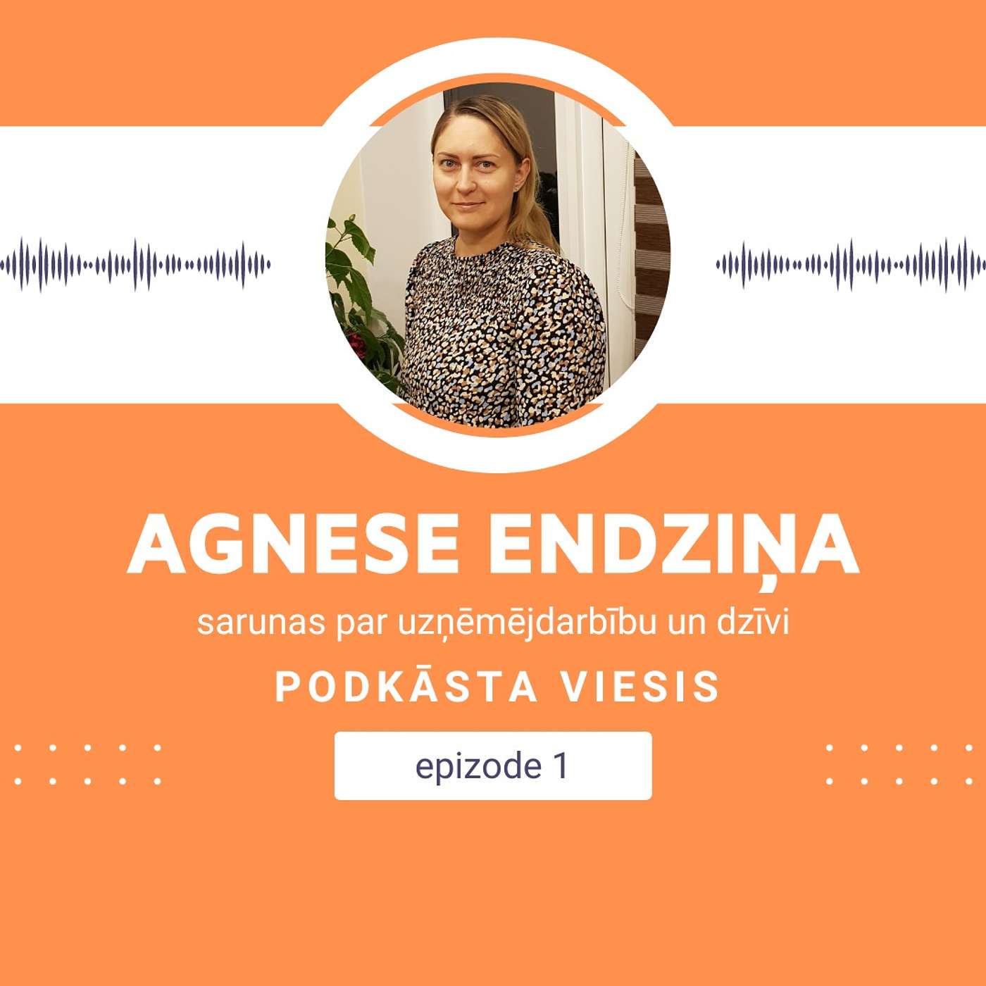 s02e01 - Agnese Endziņa episode artwork