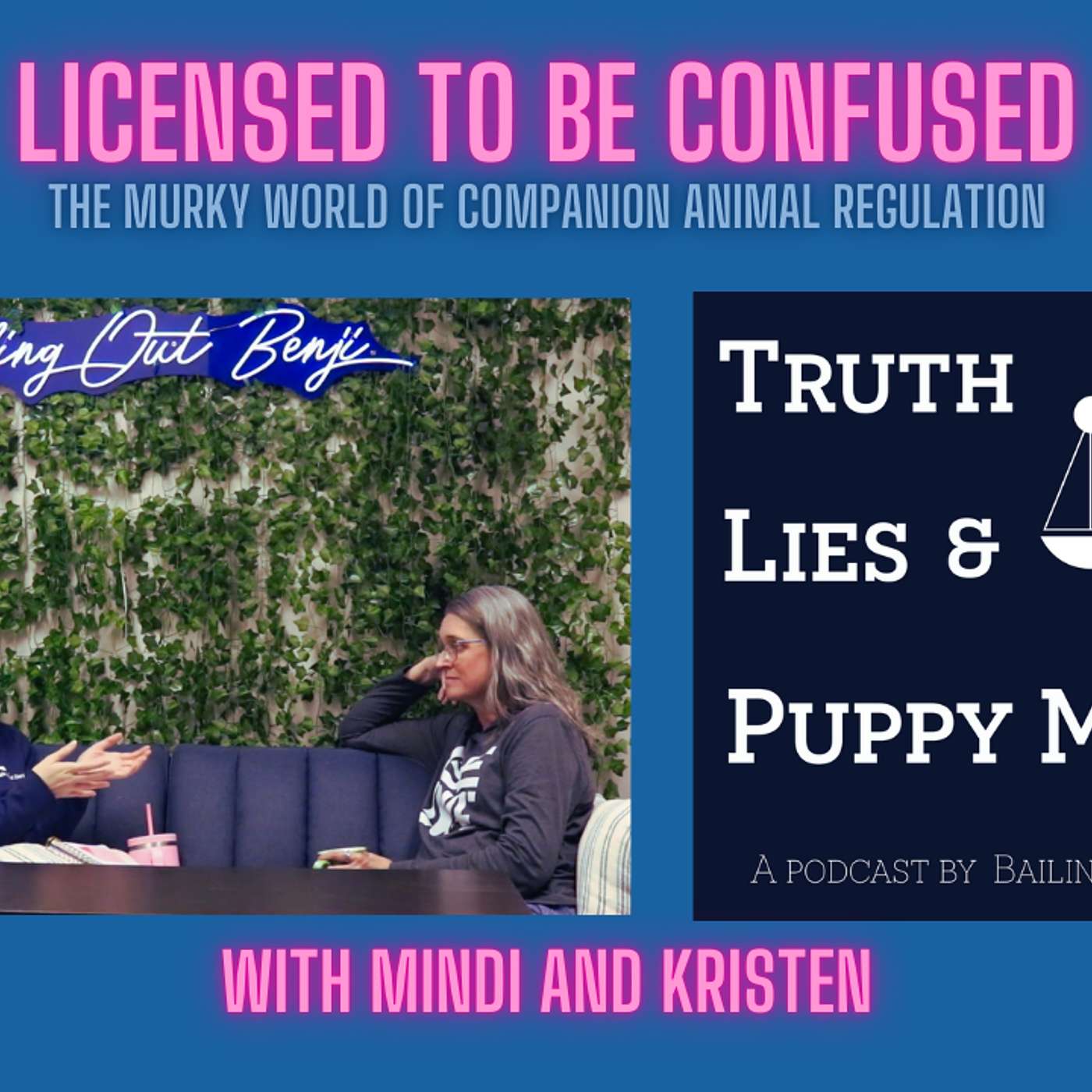 Ep6: Licensed to be Confused