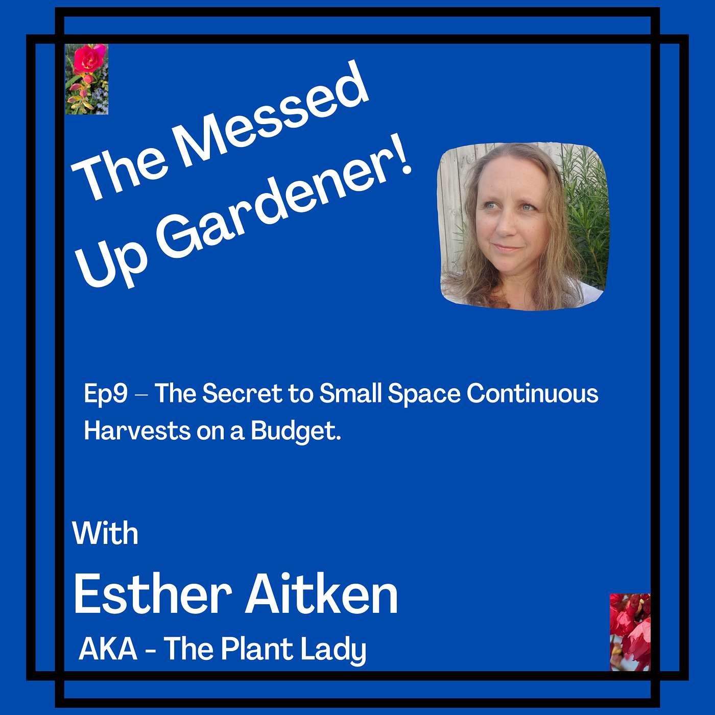 Ep9 - The Secret to Small Space Continuous Harvests on a Budget.