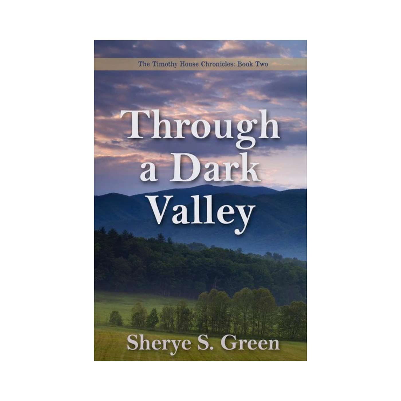 "Through a Dark Valley" Author Sherye Green on The Sunbury Press Books Show episode artwork