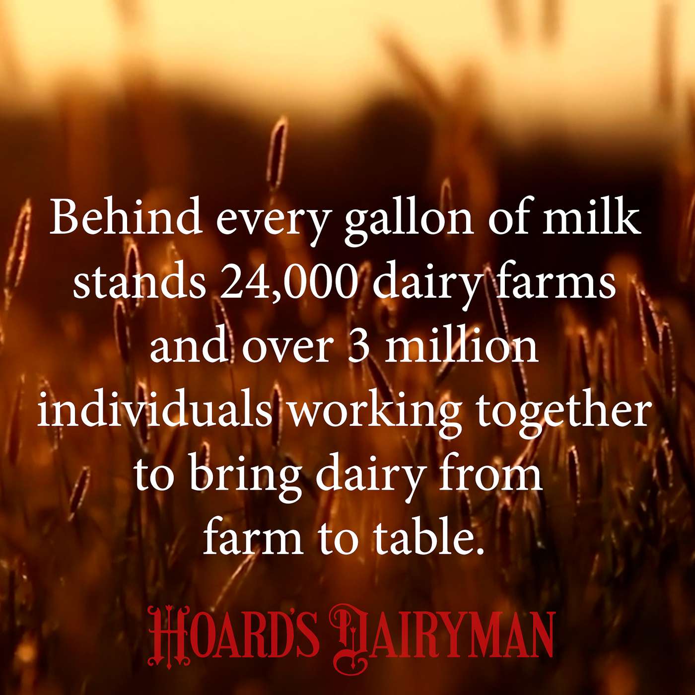 Gratitude Begins Here: Happy Thanksgiving