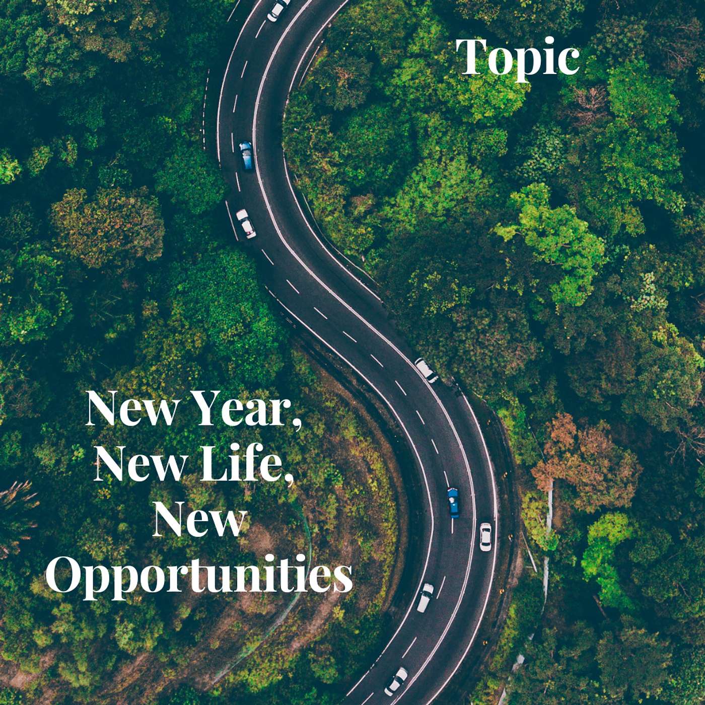 New Year, New Life, New Opportunities episode artwork