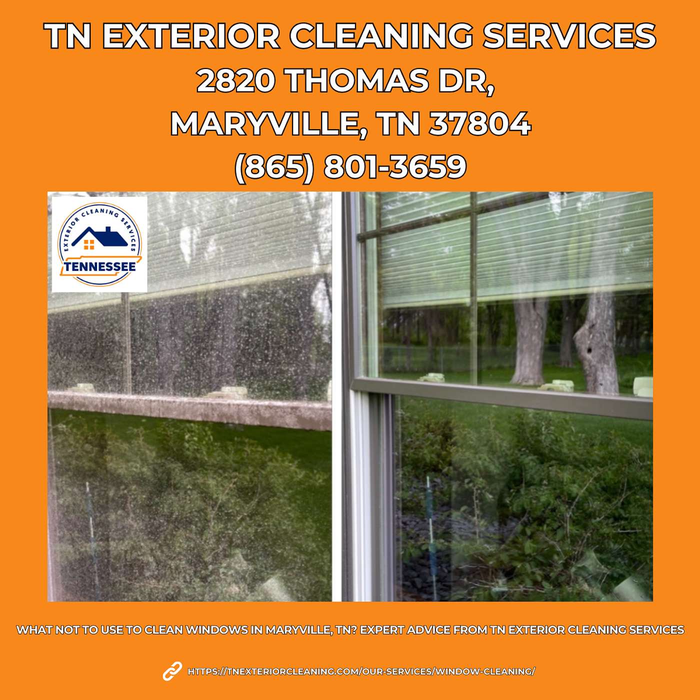 What Not to Use to Clean Windows in Maryville, TN? Expert Advice From TN Exterior Cleaning Services episode artwork