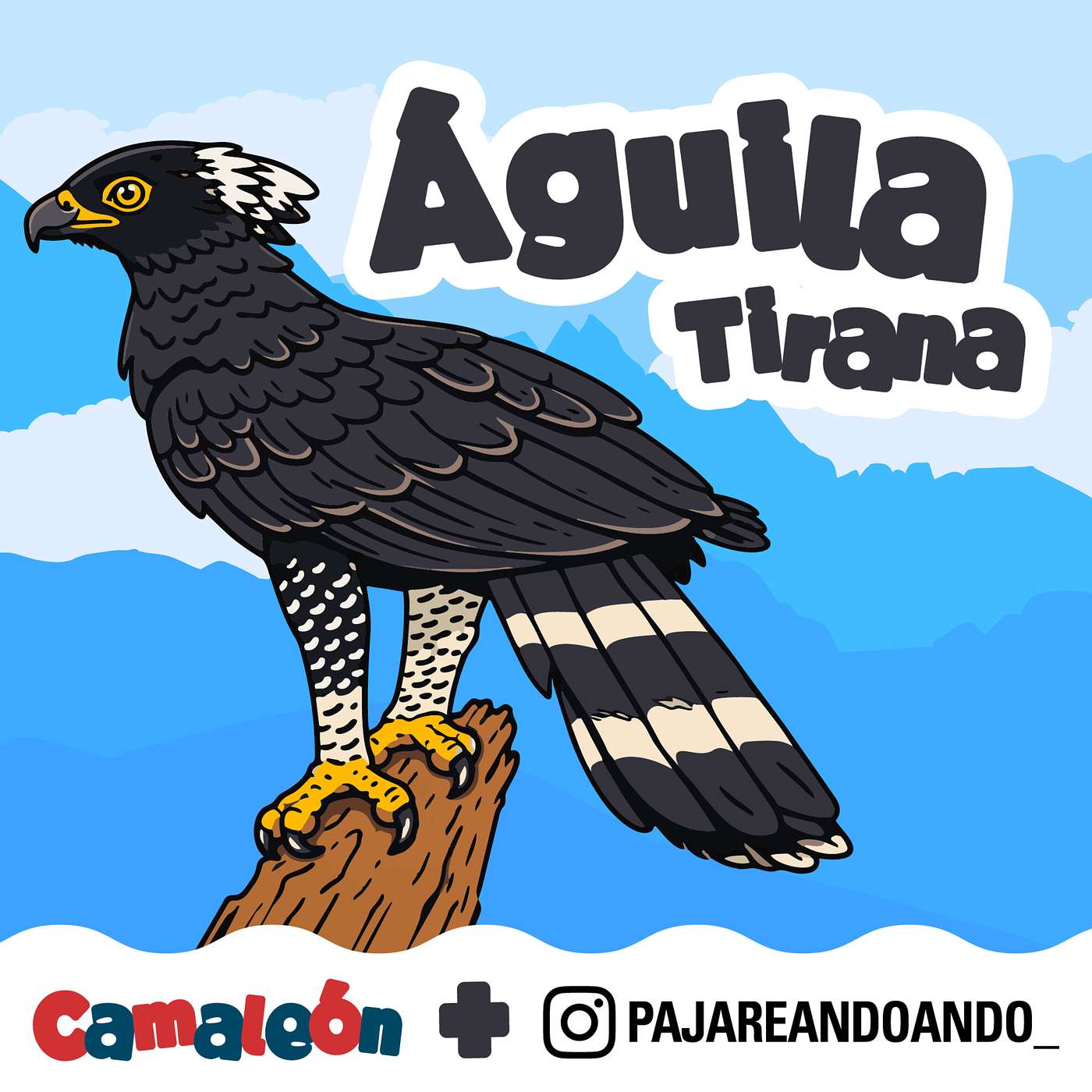 Águila tirana: la jefa del territorio episode artwork