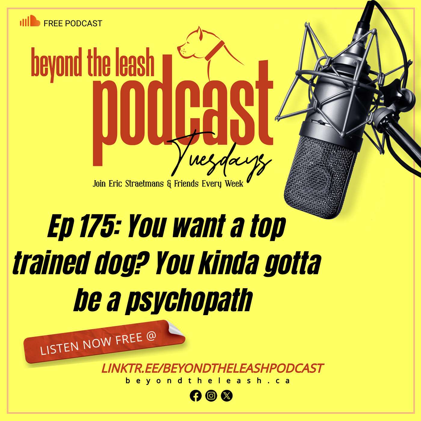 Ep 175: You want a top trained dog?  you kinda gotta be a psychopath.