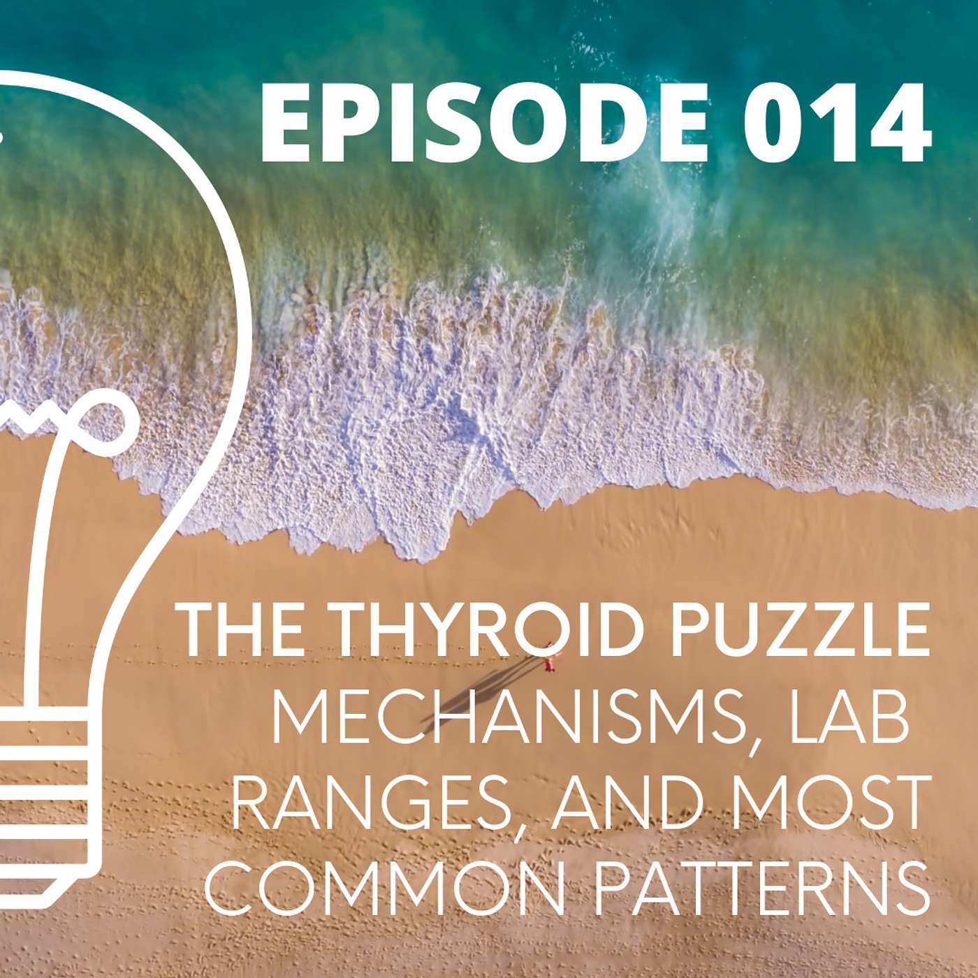 014 - The Thyroid Puzzle - Mechanisms, Lab Ranges, and Most Common Patterns episode artwork