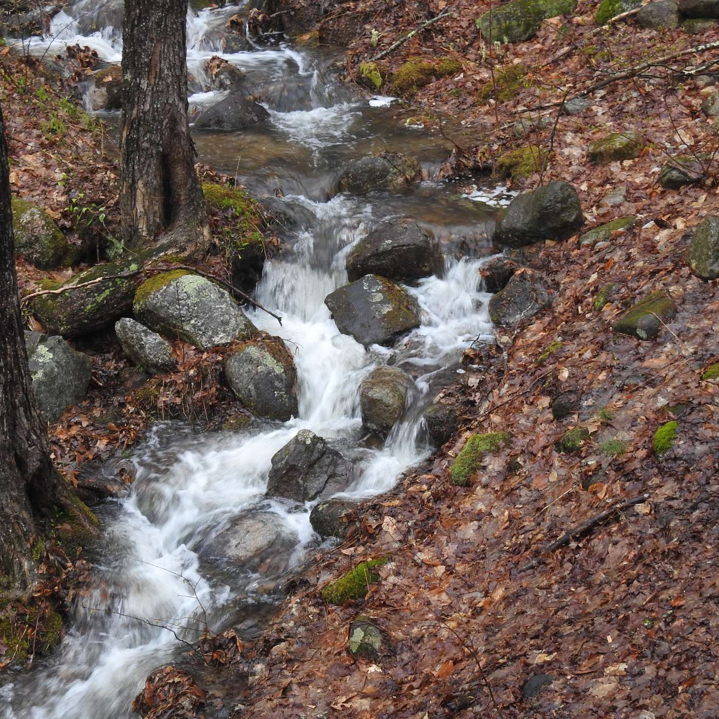 WATER POWER