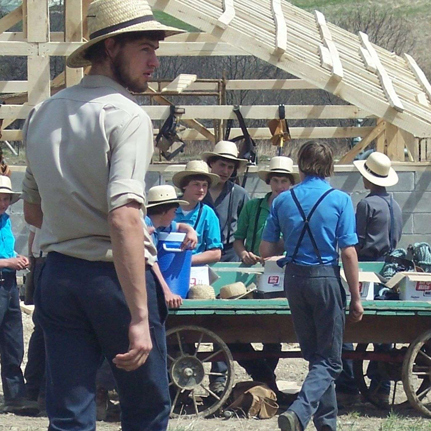 The Amish episode artwork