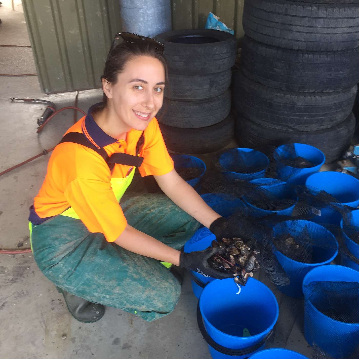 Episode 57: How a Tasmanian pearl of wisdom saved the Australian oyster industry