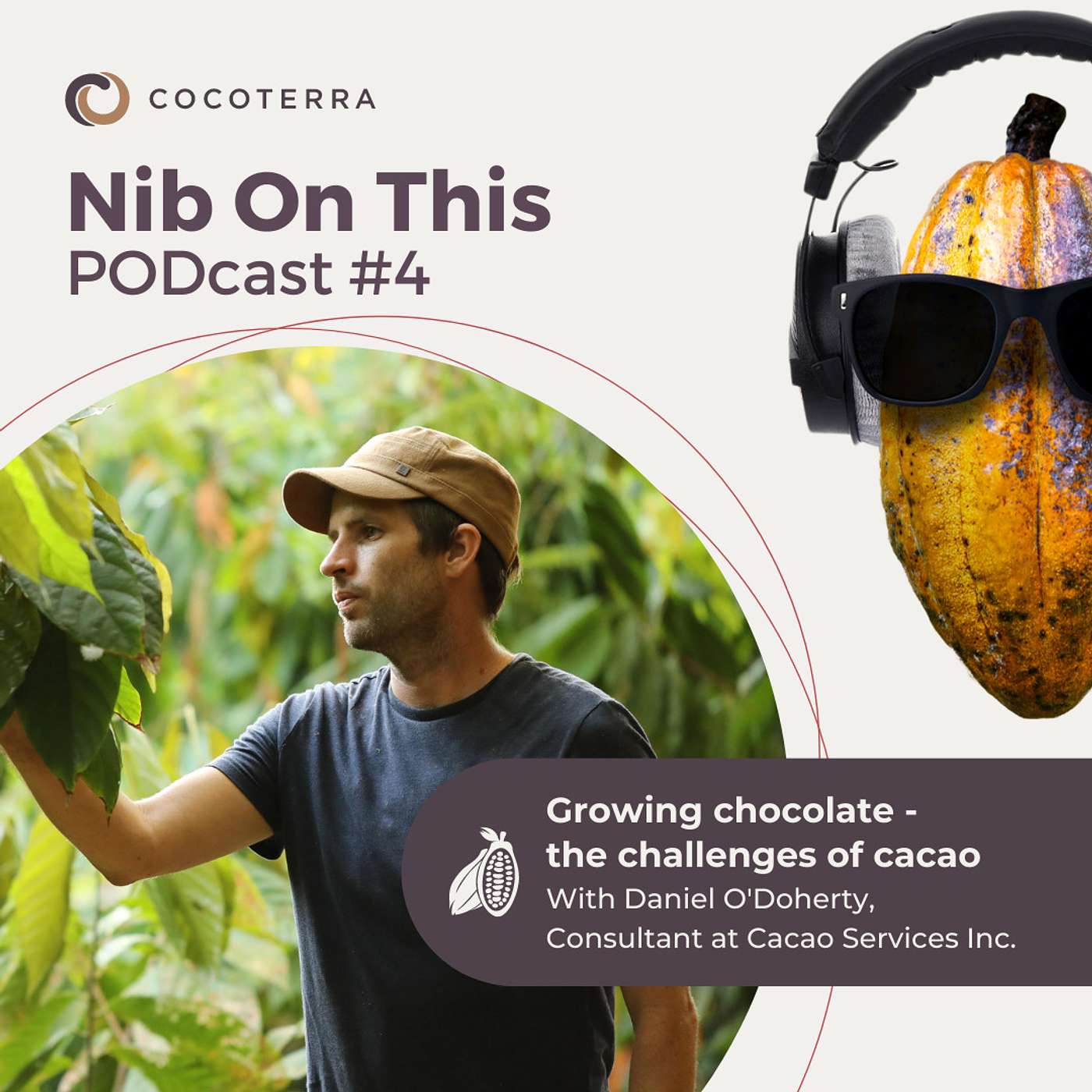 Episode 4: Growing chocolate. With Daniel O'Doherty Episode 4: Growing chocolate. With Daniel O'Doherty