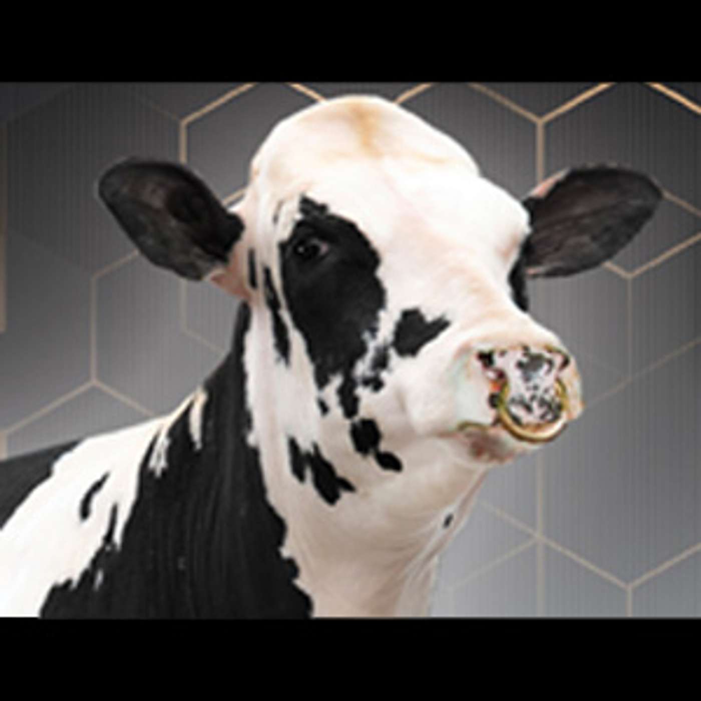 DairyVoice Podcast