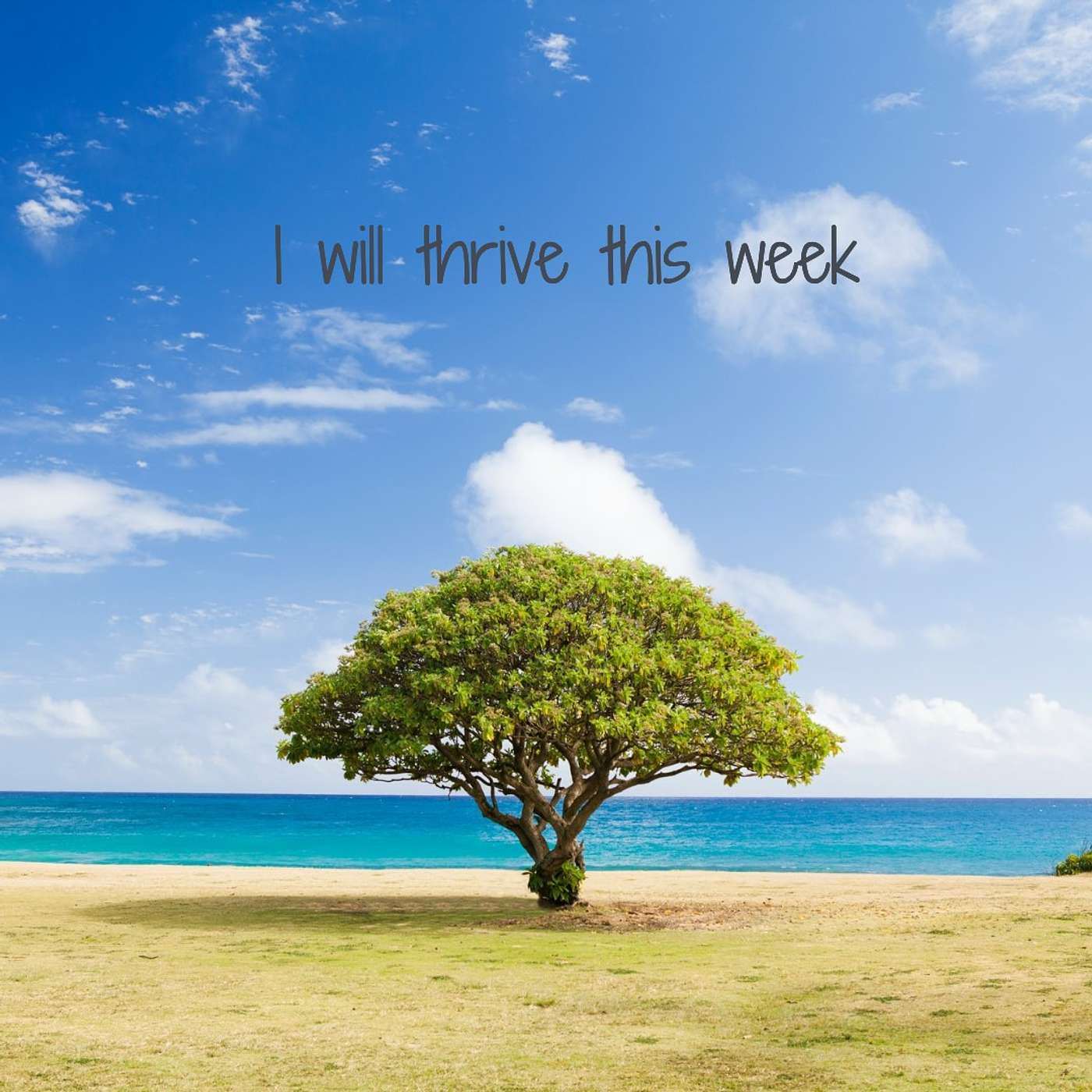 #50 I will thrive this week episode artwork