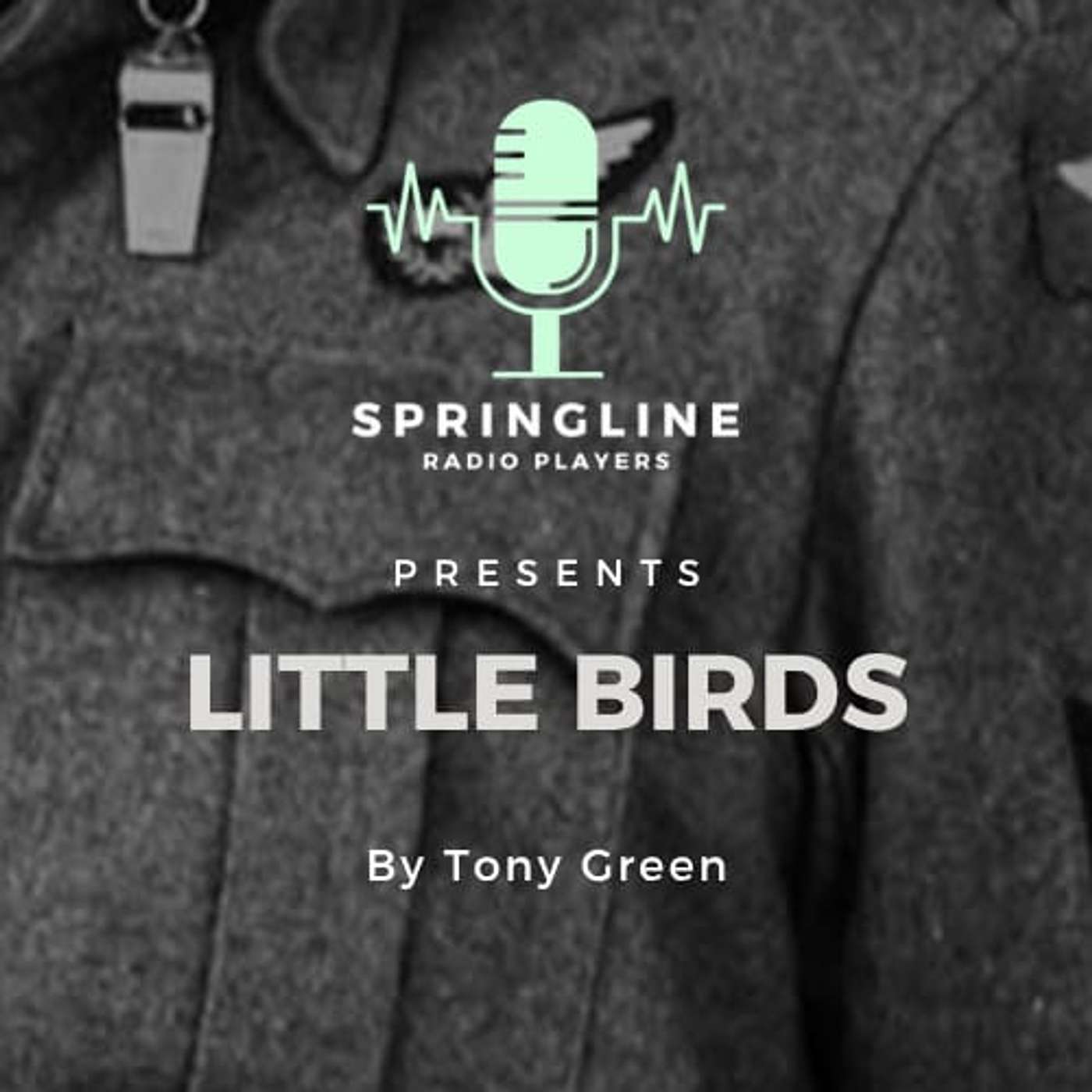 Little Birds episode artwork