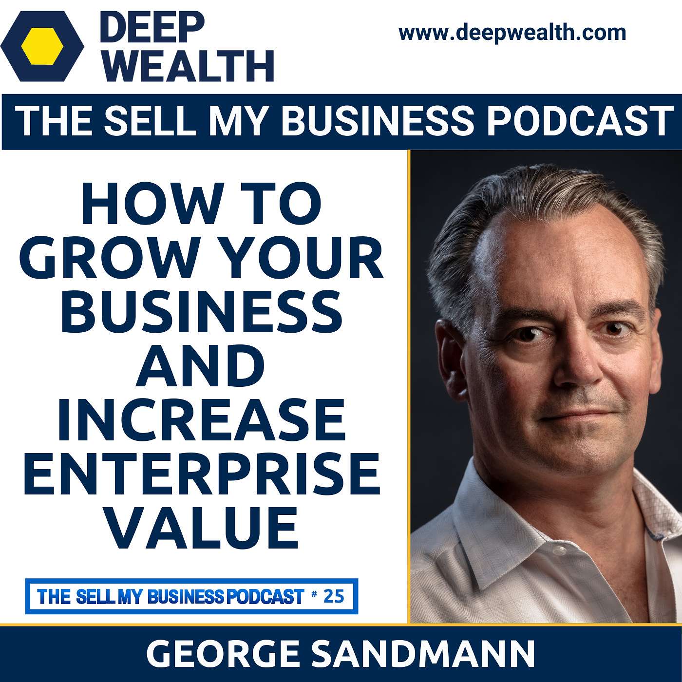 The Deep Wealth Podcast - Unlock Your Deep Wealth—In Business and Life