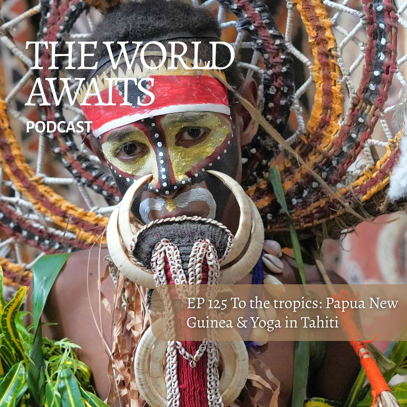 EP 126 Summer Series: The Tropics Episode from finding your Zen in Tahiti to PNG with musician David Bridie