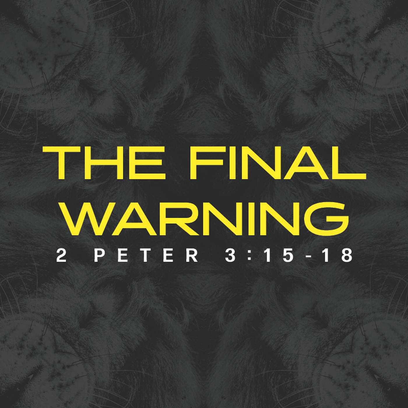 The Final Warning - 2 Peter 3:15-18 episode artwork