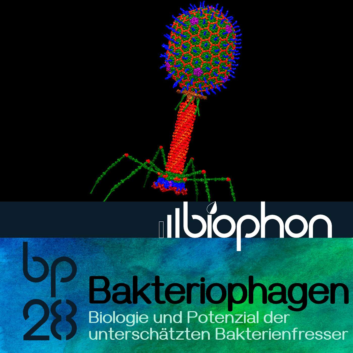 bp28: Bakteriophagen - Biologie und Potenzial der unterschätzten Bakterienfresser