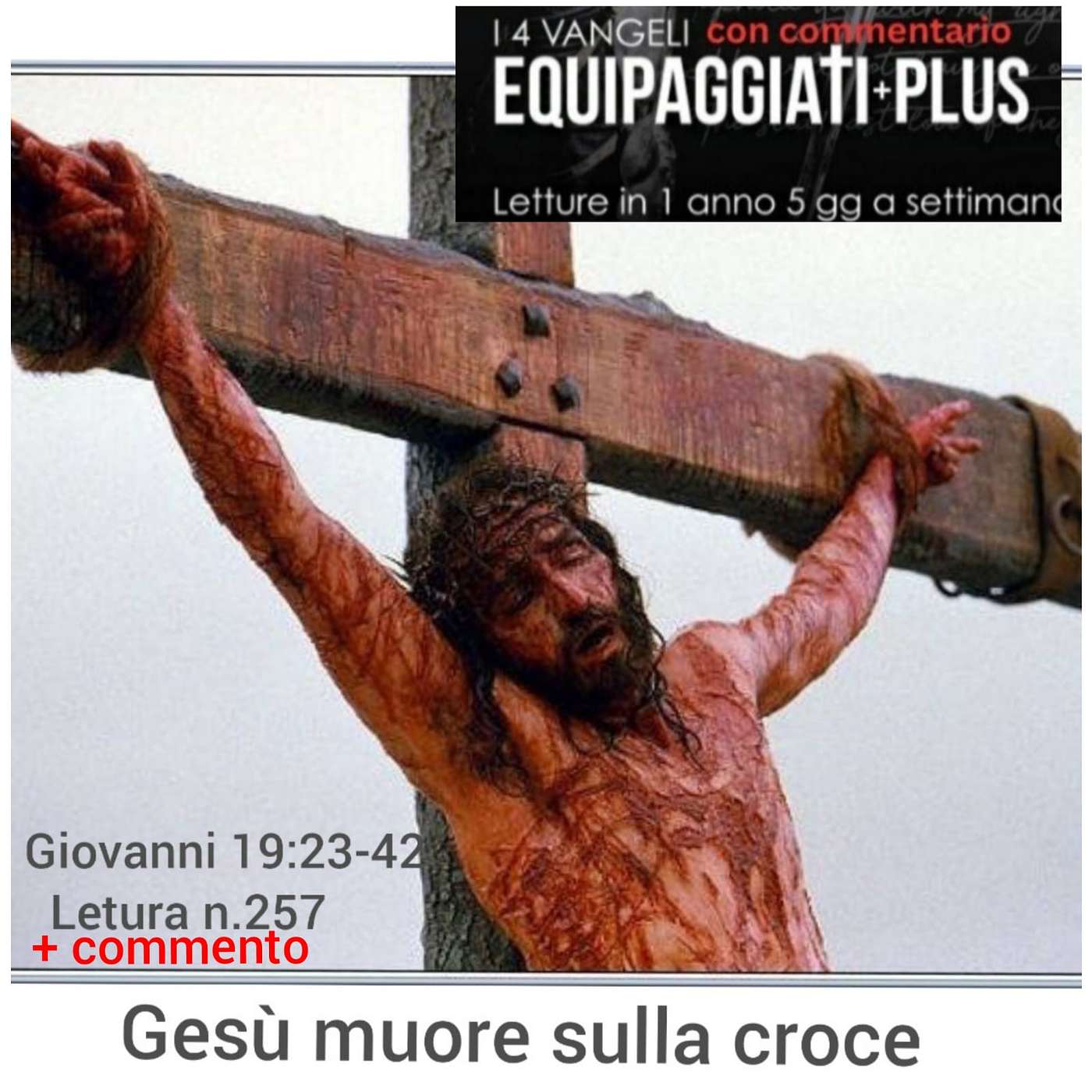 Gesu’ muore sulla croce - Giovanni 19:23-42 - #257