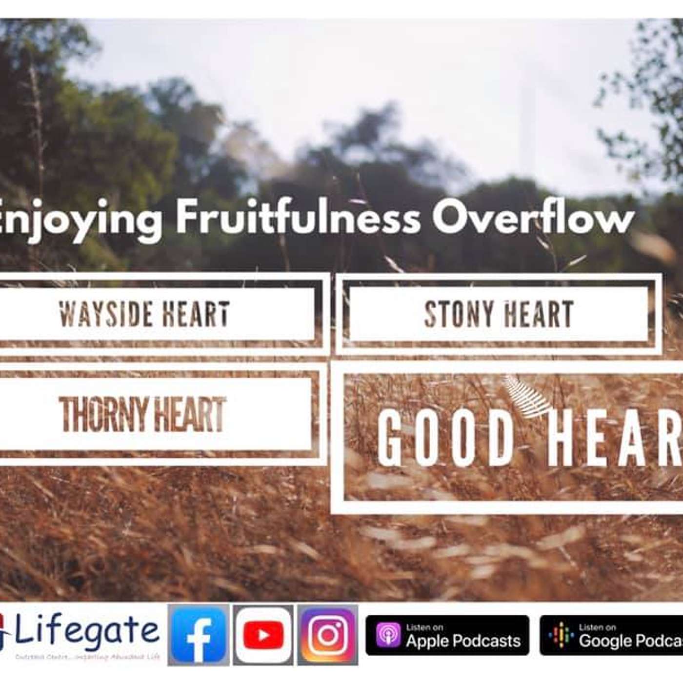 Developing the Good Heart (Enjoying Fruitfulness Overflow) - Lifegate Church - 29.3.21 episode artwork