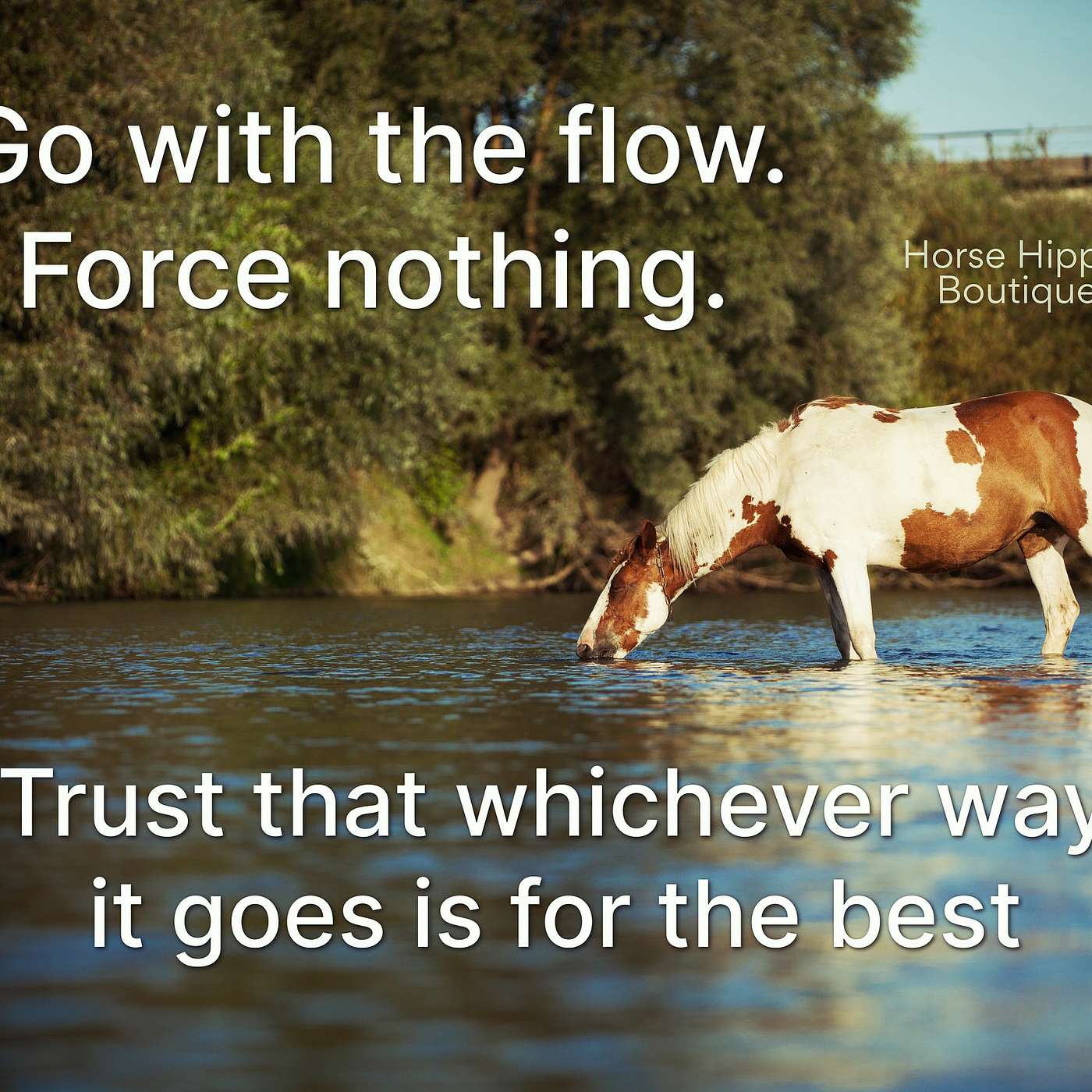 Go With the Flow episode artwork