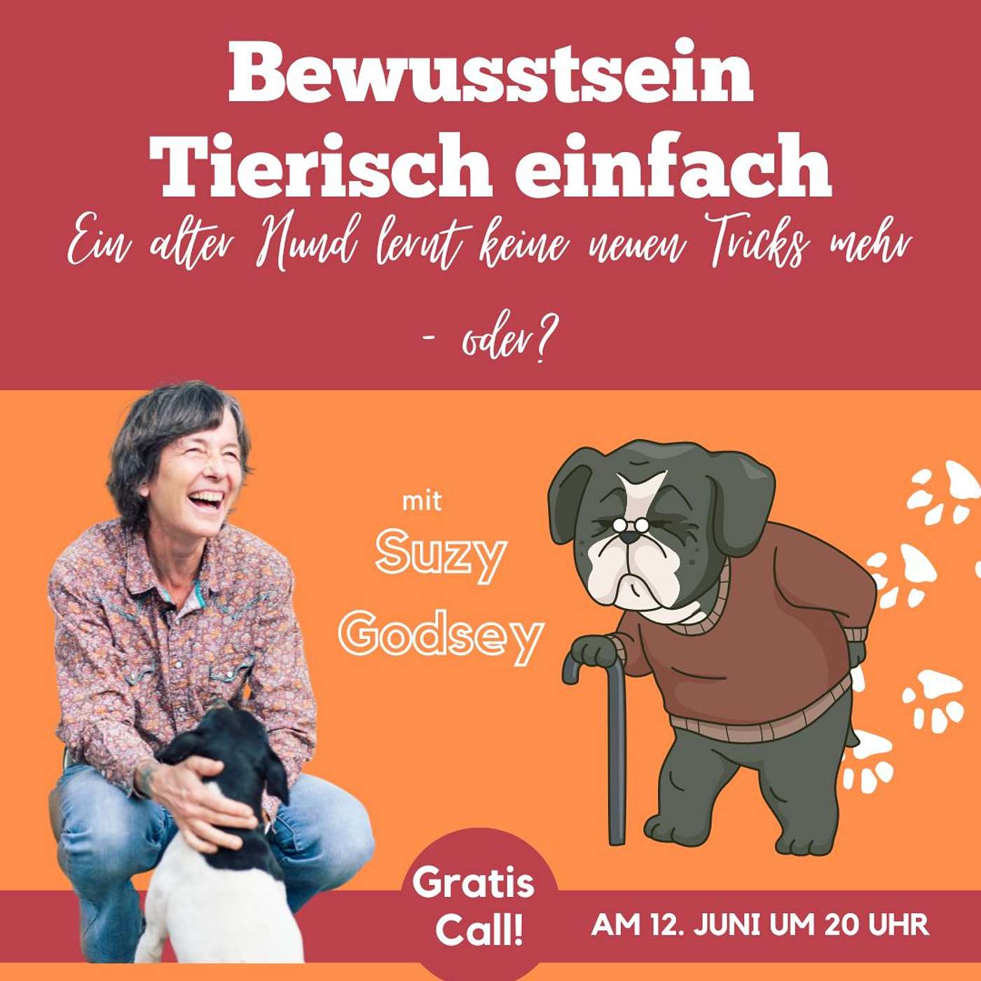 Ein alter Hund lernt keine neuen Tricks mehr - oder?