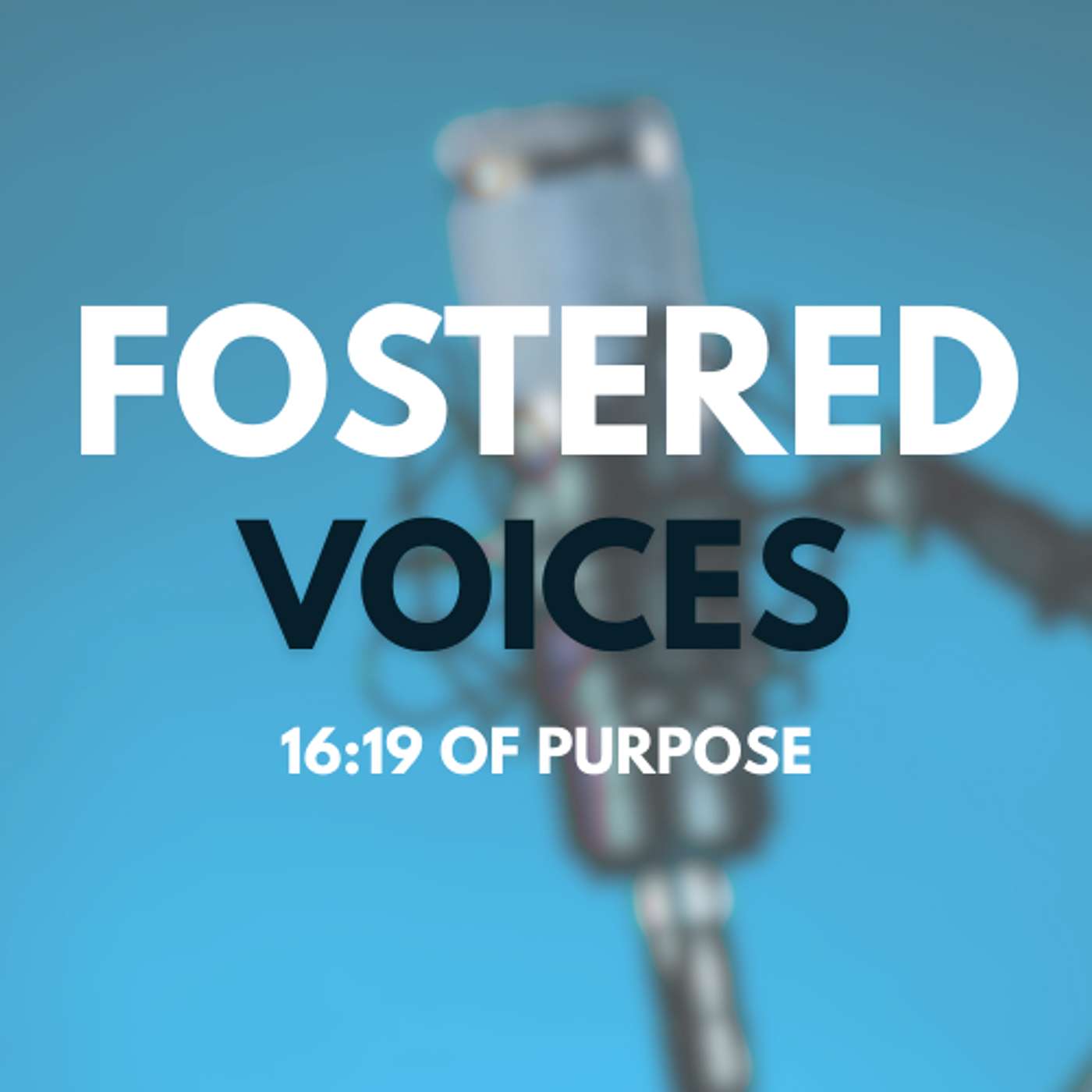 Fostered Voices 16:19 of Purpose