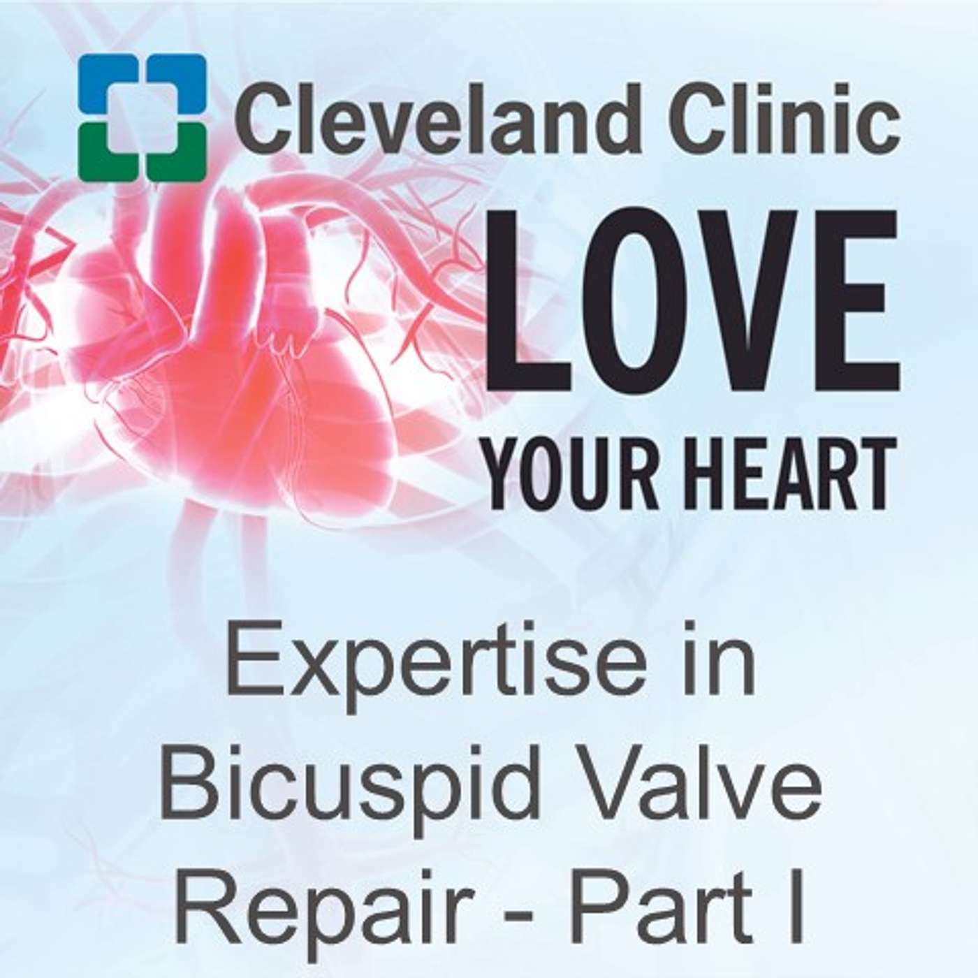 Expertise in Bicuspid Valve Repair - Part 1