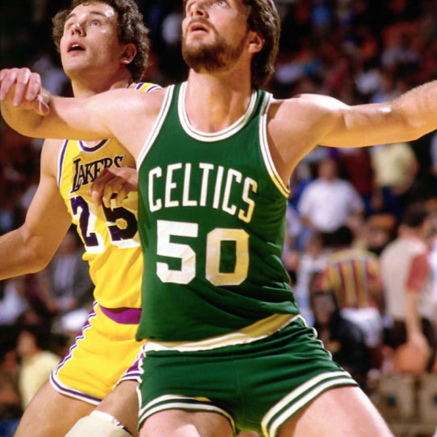 cover of episode (Episode 238) "Boston Celtics" Center: Greg Kite.