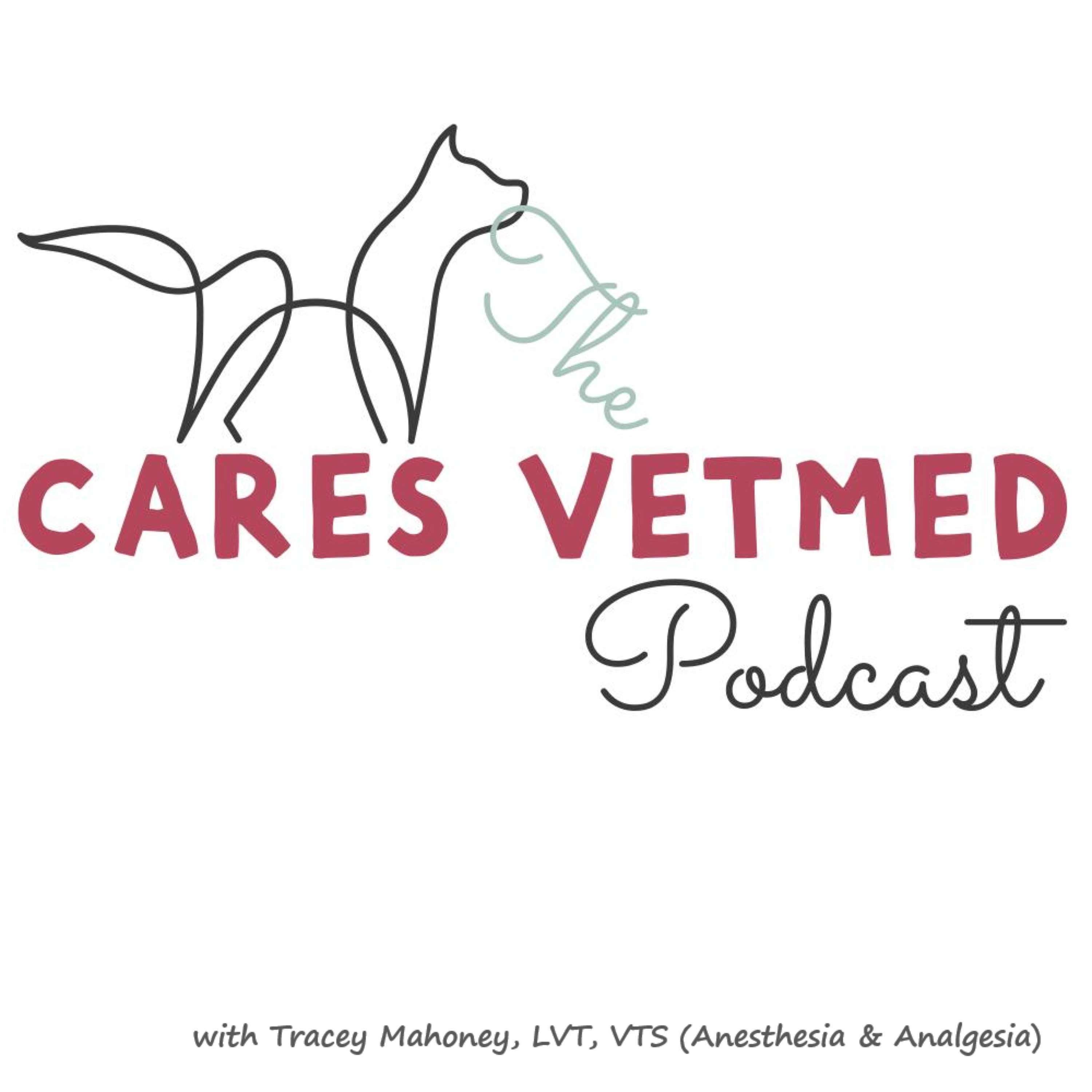 The CARES VetMed Podcast podcast artwork
