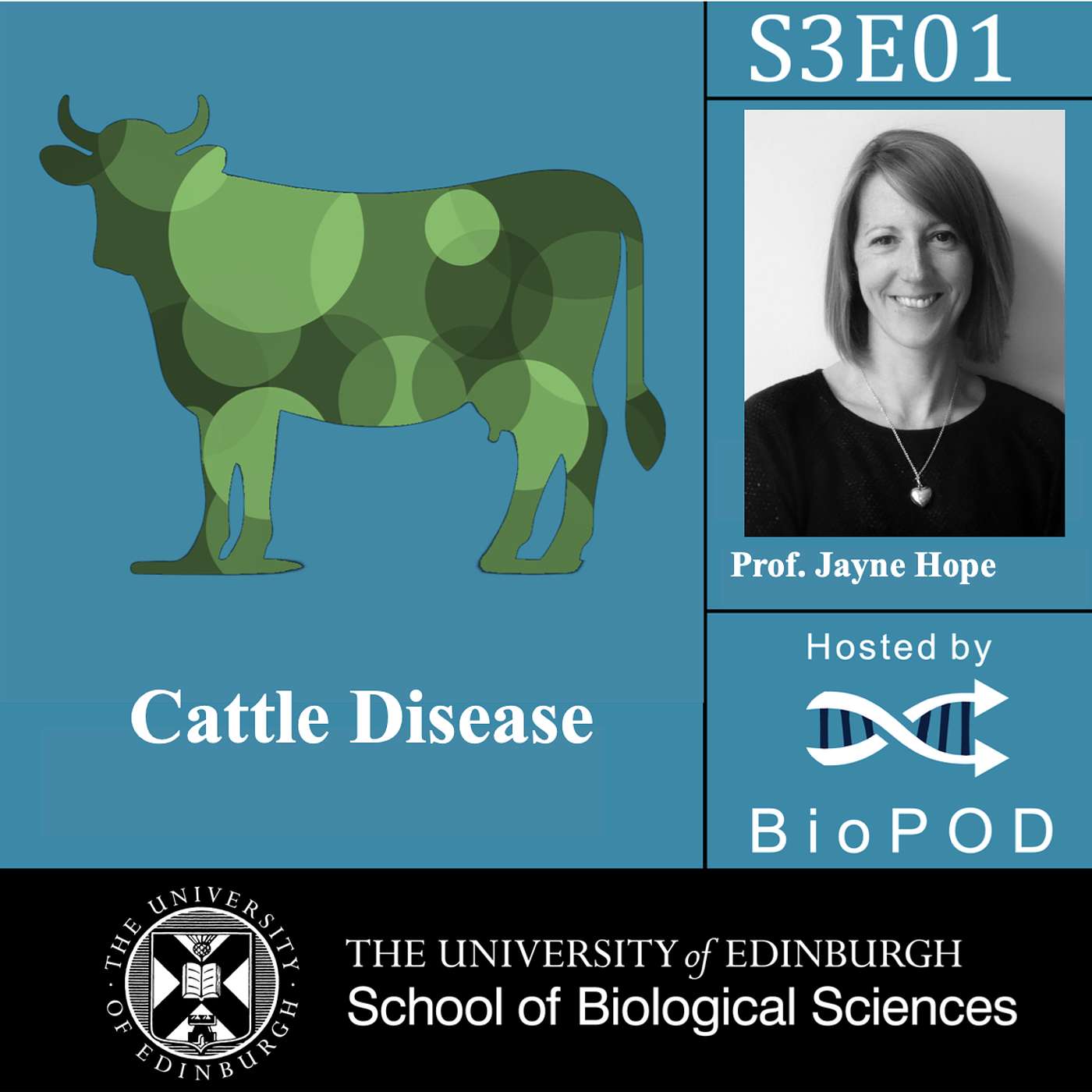 Cattle Disease