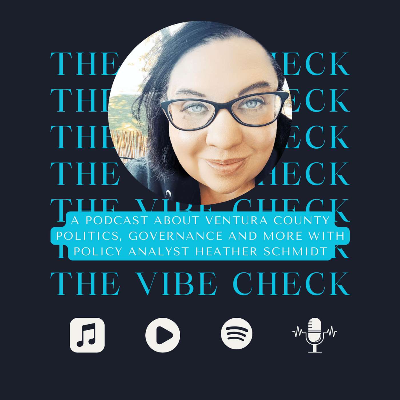 The Vibe Check cover art
