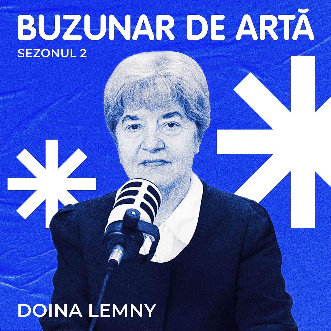 Podcast Buzunar de Artă