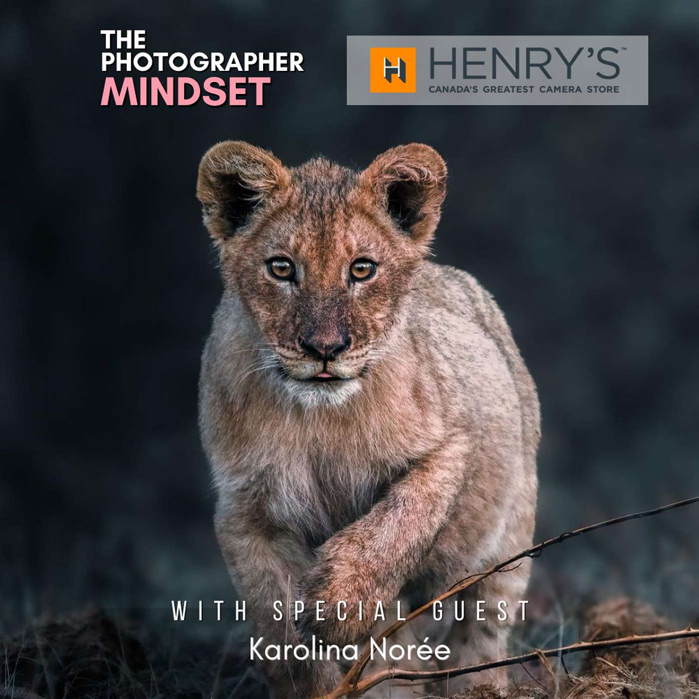 The Photographer Mindset