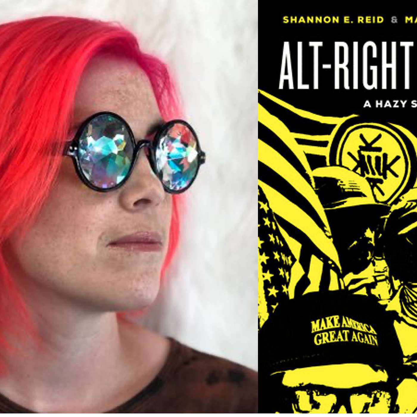 16. Shannon Reid on alt-right gangs in the US