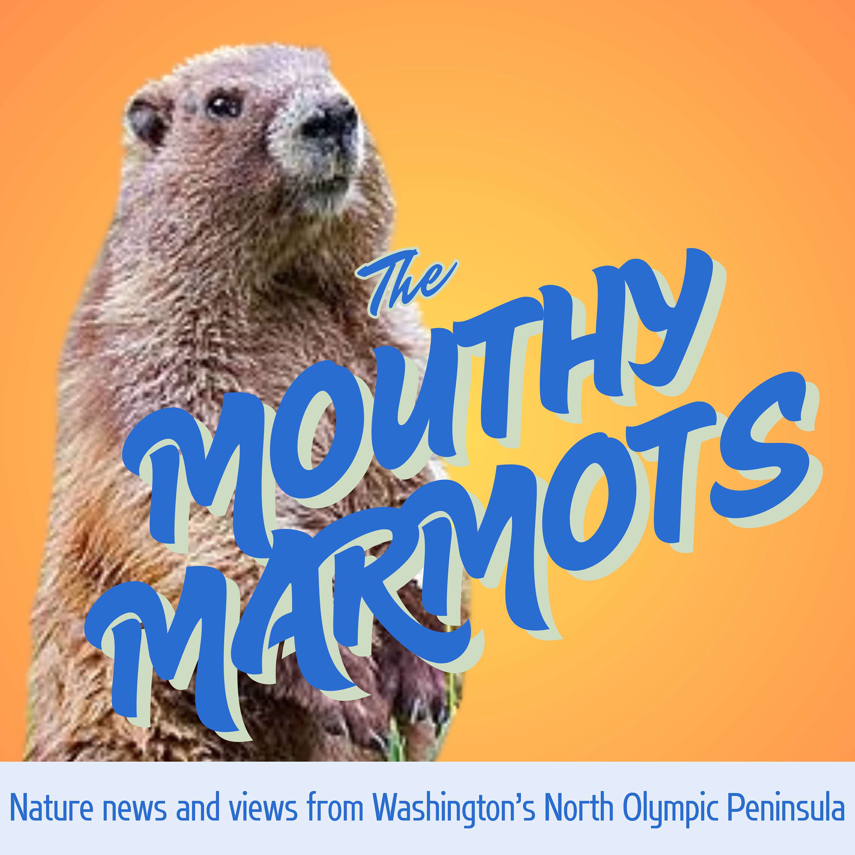 The Mouthy Marmots