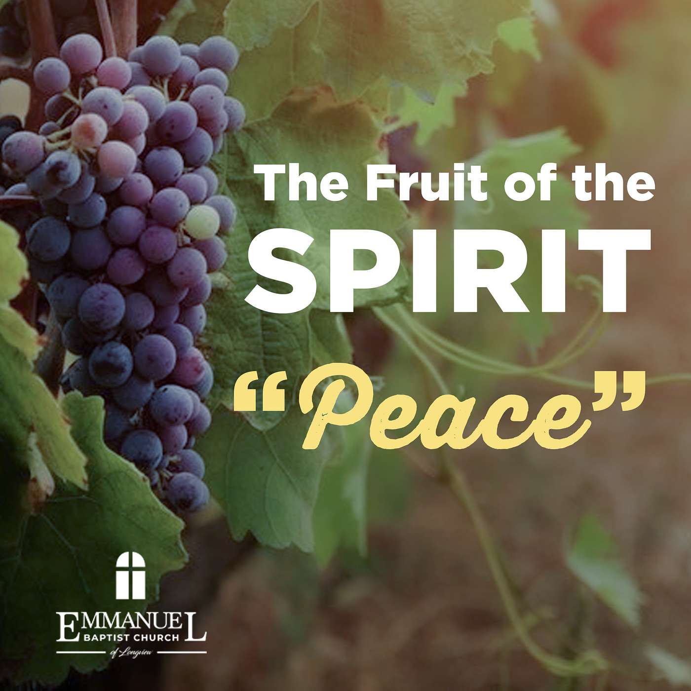 The Fruit of the Spirit - Peace - Wednesday PM 01/19/2022 - Pastor Bob Gray II episode artwork