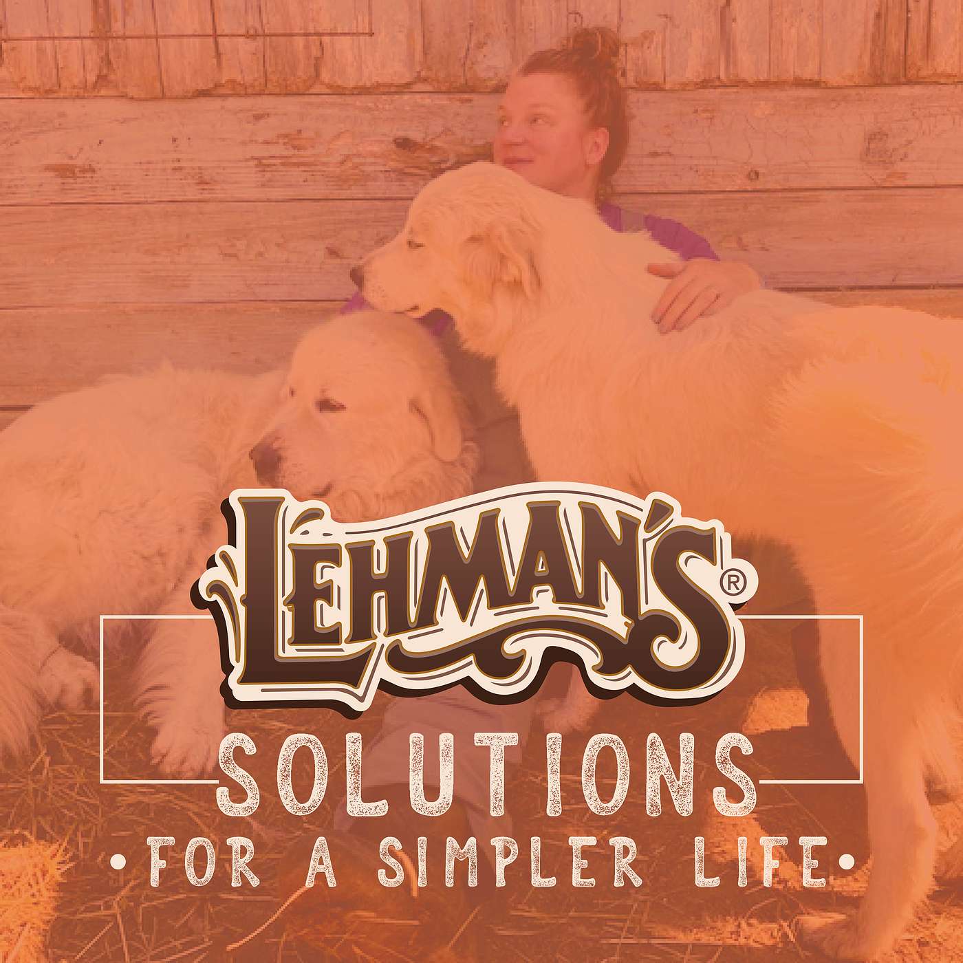 Solutions for a Simpler Life