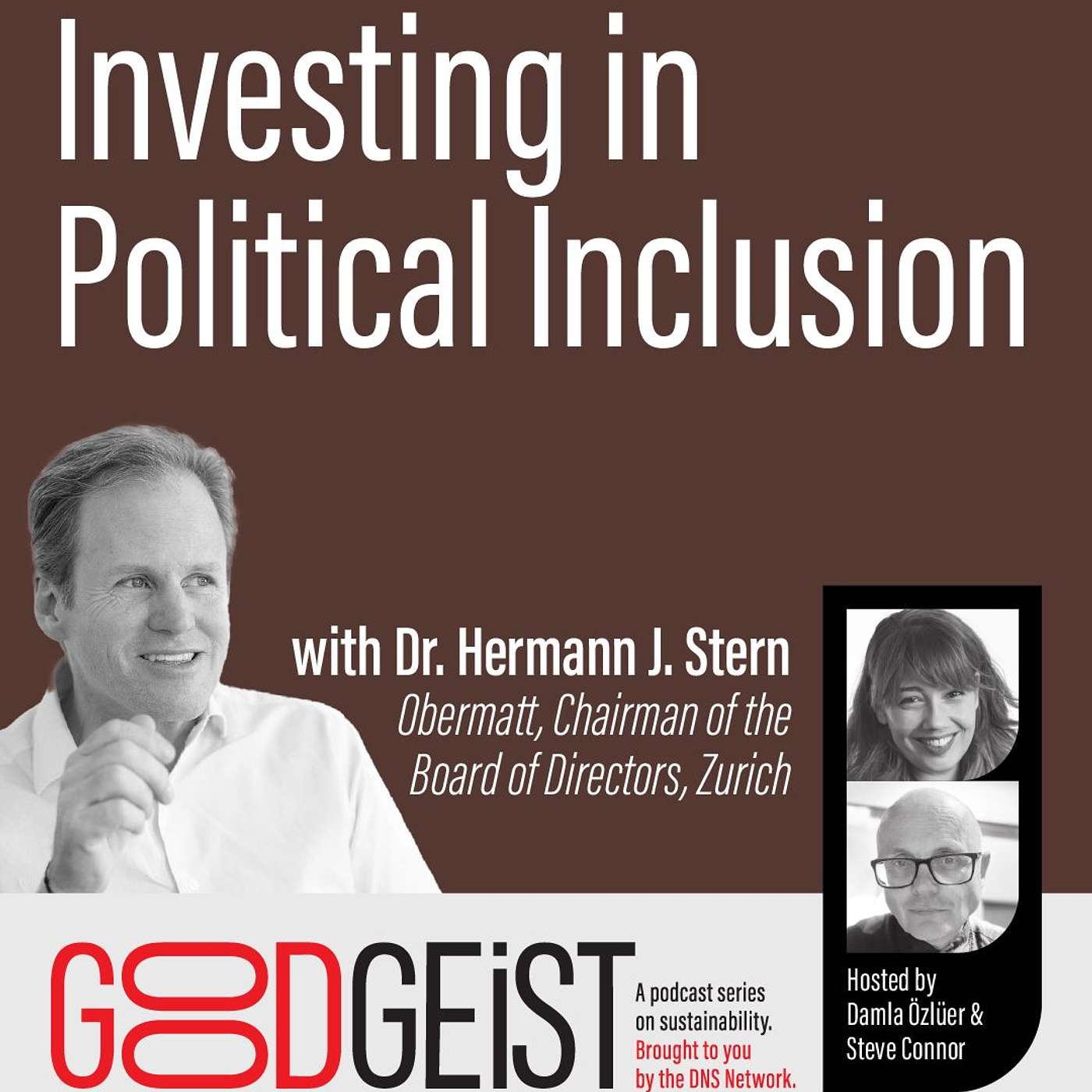 Investing in Political Inclusion, with Dr. Hermann J. Stern