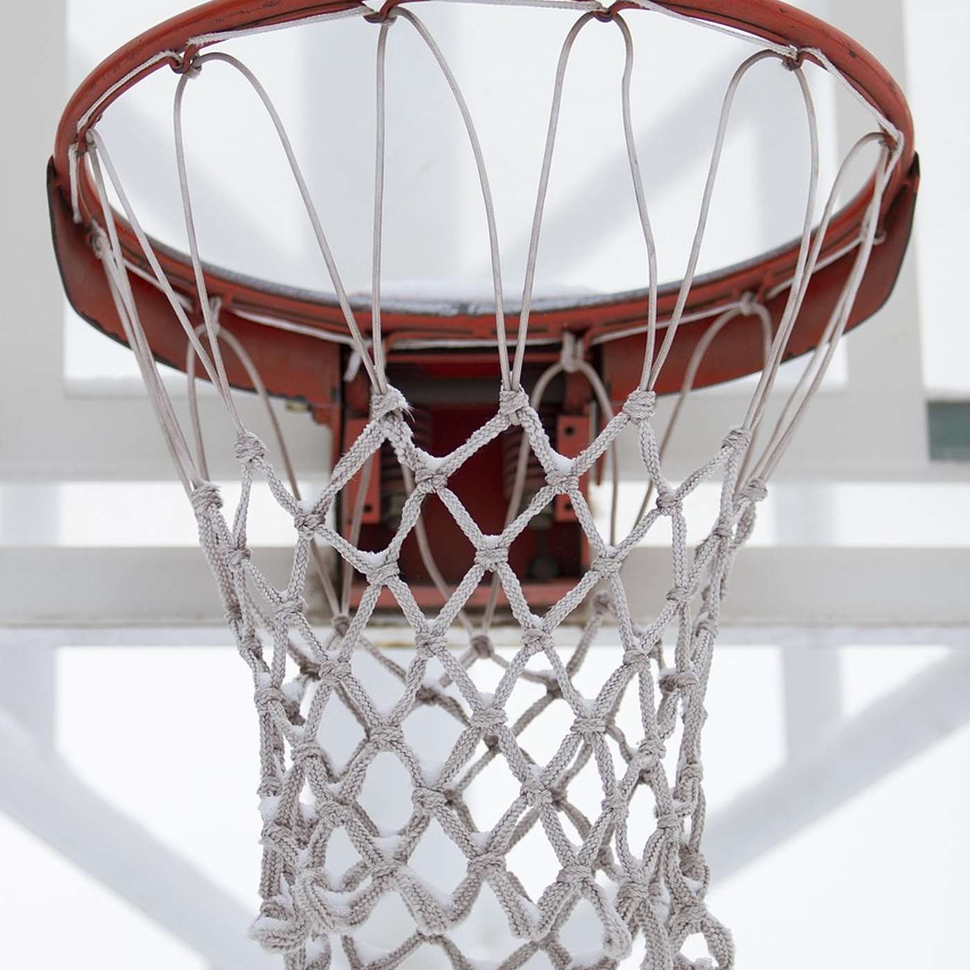 The Neal Larson Show