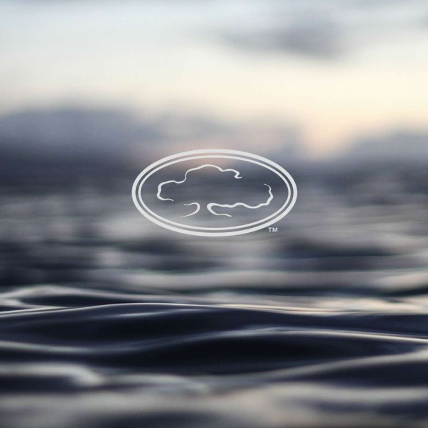 Porch Talk | Marshall Townsley