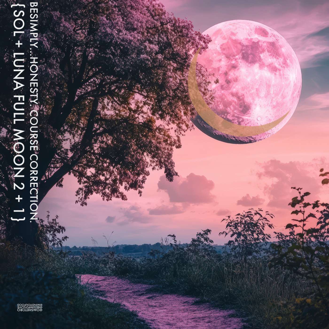 BeSimply...Honesty. Course Correction. {Sol + Luna Full Moon 2 + 1}